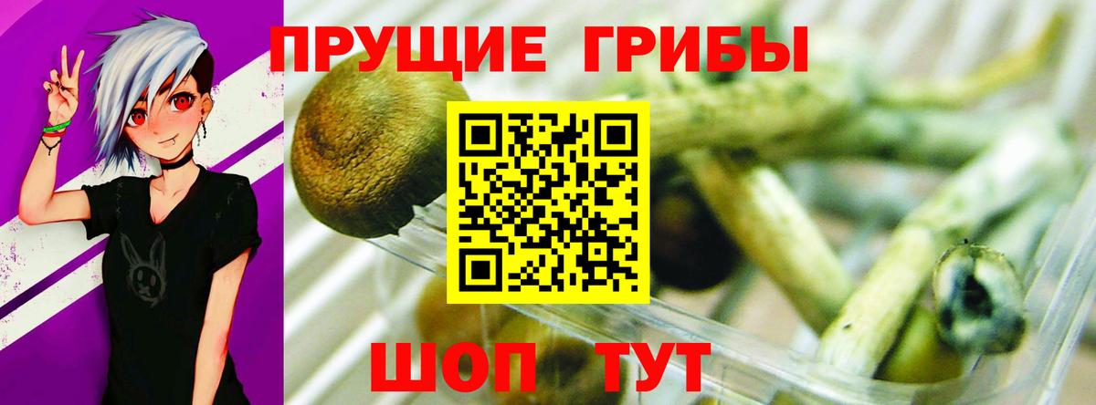 Псилоцибиновые грибы прущие грибы Ревда